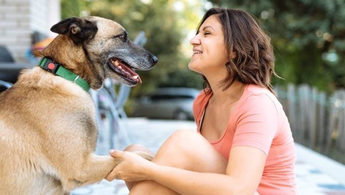 Frau umarmt belgische Malinois beste Hunderassen für Steinbock