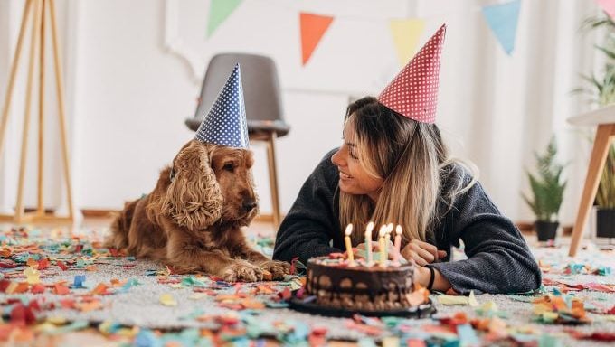 hund und besitzer feiern geburtstagshundejahre