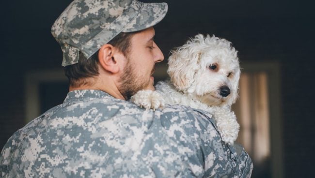 ein Veteran, der seinen Begleithund hält