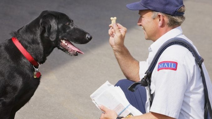 Postbote mit Hund mit Pfefferspray besprüht