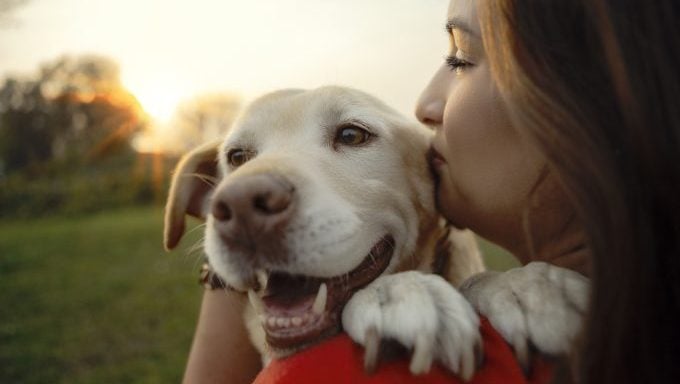 Frau mit lächelndem Hund lustige Hundezitate
