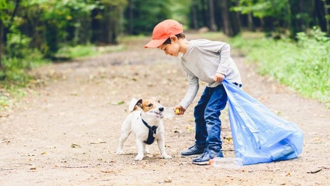 Hund sammelt Müll auf, wie Sie den CO2-Fußabdruck Ihres Hundes reduzieren können
