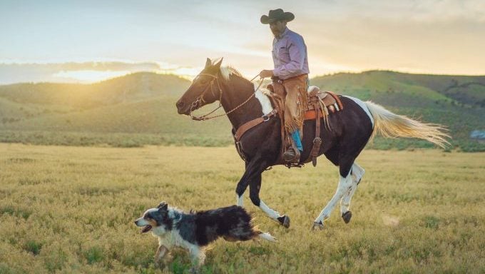 Hund läuft neben Viehzüchter auf Pferd Mythen über Herdenschutzhunde