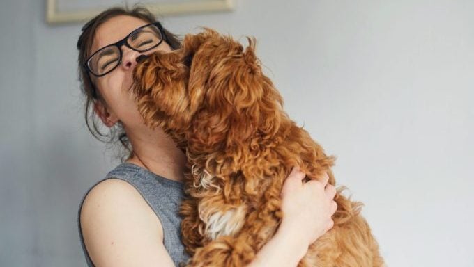 Frau umarmt Hund, warum das WSJ in Bezug auf Hunde falsch liegt