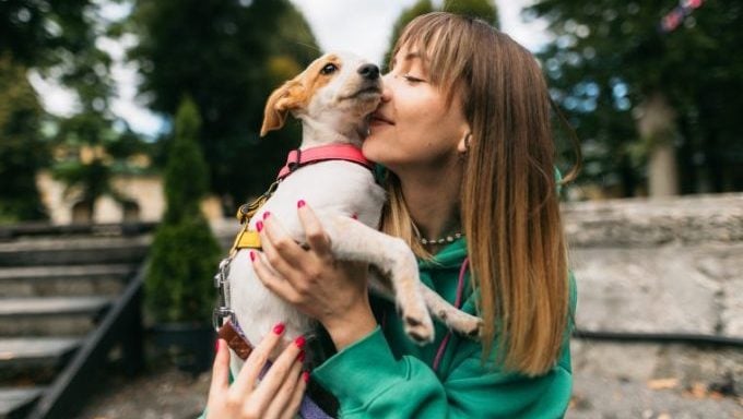 junge frau, die ihren hund küsst, warum hunde besser sind als kinder