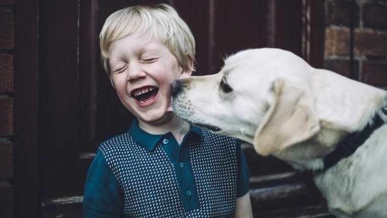 Beste Hunderassen für Kinder im Autismus-Spektrum