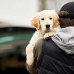 Dieb stiehlt Kind mit Autismus-Stützhund