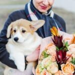 Top 10 hundesichere Blumen zum Muttertag