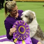 Petit Basset Griffon Vendéen gewinnt die Westminster Dog Show 2023