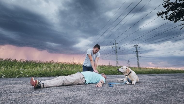 Hund rettet Mann bei Herzinfarkt das Leben