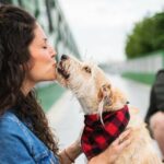 Studie zeigt, wo die besten (und schlechtesten) Hundebesitzer leben