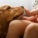Hund wählt Namen für das neue Baby seines Besitzers