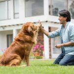 Wie ein Hundeverhaltensforscher Ihrem Welpen helfen kann