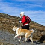 Hund nach Besteigung des höchsten Berges Englands gerettet