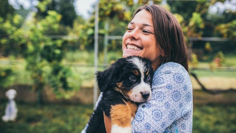 Die besten (und schlechtesten) Gründe, einen Hund zu adoptieren