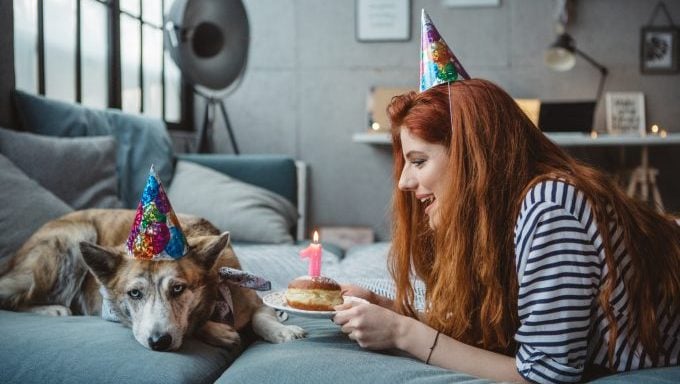 Frau veranstaltet Geburtstagsfeier für unbeteiligten Hund, der mit dem Hund zusammenhängt