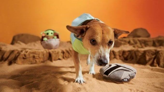 Star Wars-Hund mit dem mandalorianischen Grogu-Spielzeug