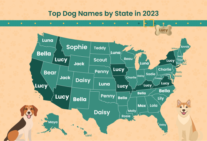 Karte der Top-Dog-Namen in jedem Bundesstaat