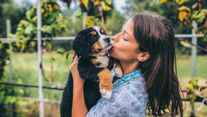Frau küsst Welpen – die besten und schlechtesten Gründe, einen Hund zu adoptieren
