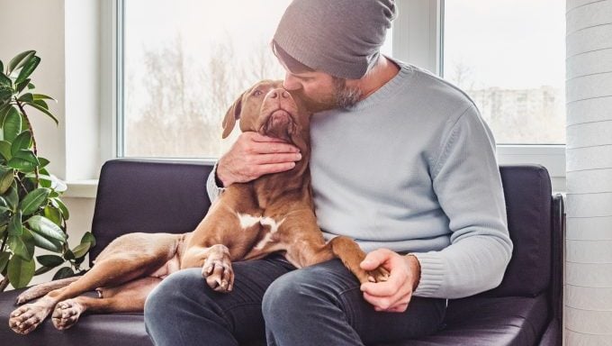 Mann küsst Hund, warum Menschen Hunde abgeben