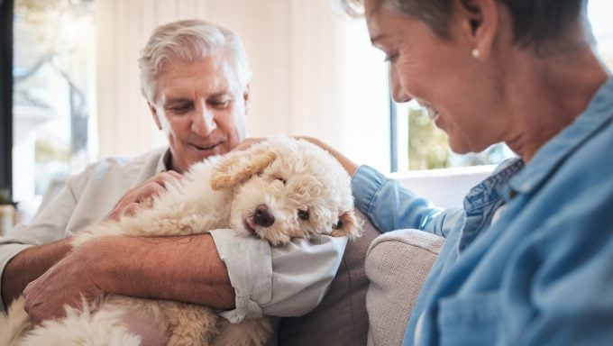 Rentnerpaar kuschelt mit Hund, der von den Großeltern verwöhnt wurde