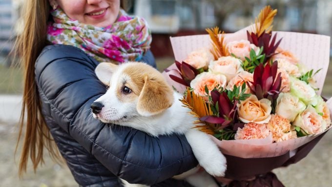 Frau mit Hund und Strauß hundesicherer Blumen