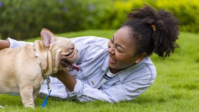 Frau lächelt mit französischer Bulldogge – beste Zeit, Hundebesitzerin zu werden