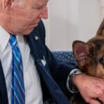 Der Hundekommandant von Präsident Biden beißt Geheimdienstagenten