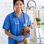 Patellaluxation bei Hunden: Symptome, Ursachen und Behandlungen