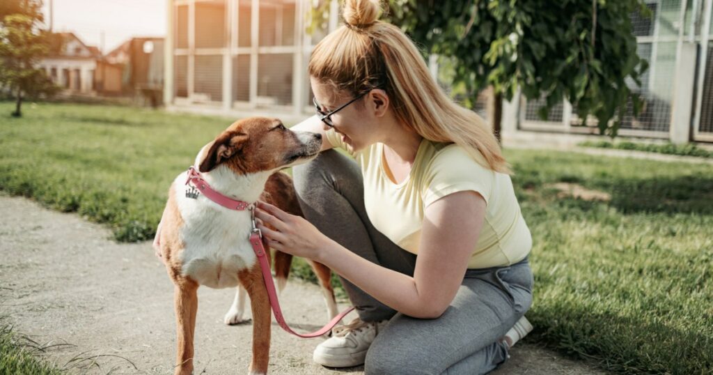 Das Gesetz von Pennsylvania erhöht die Hundelizenzgebühren