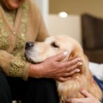 Dempsey Dogs bieten Krebspatienten Unterstützung