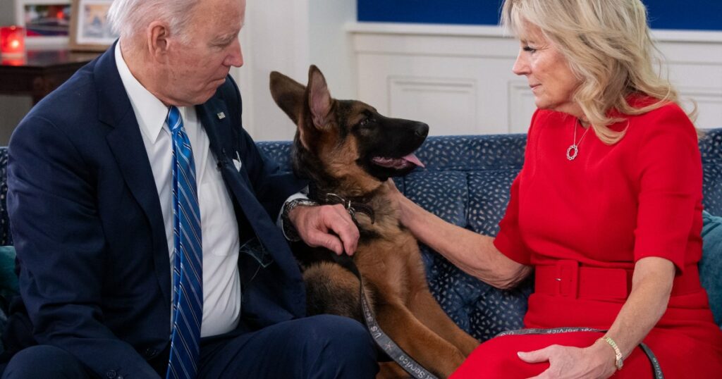 Der Hund von Präsident Biden verlässt das Weiße Haus