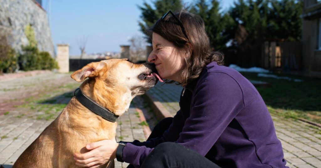 Hund nach zwei Jahren im Tierheim wieder mit Pfleger vereint