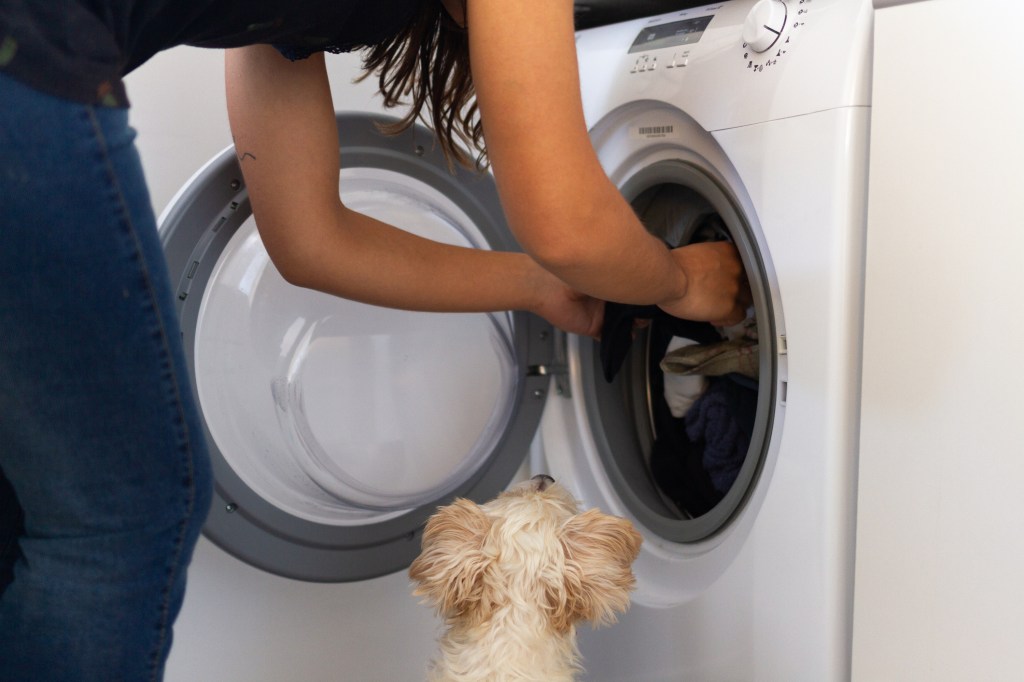 Frau benutzt Waschmaschine, um neben ihrem Hund Wäsche zu reinigen.  Warum es wichtig ist, Hundehaare oder Fell zu entfernen, bevor Sie die Waschmaschine verwenden.