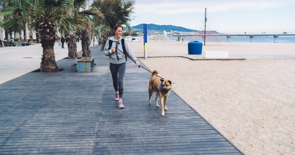 Hundebesitzer fordern die Aufhebung des Verbots, mit Hunden auf der Promenade spazieren zu gehen