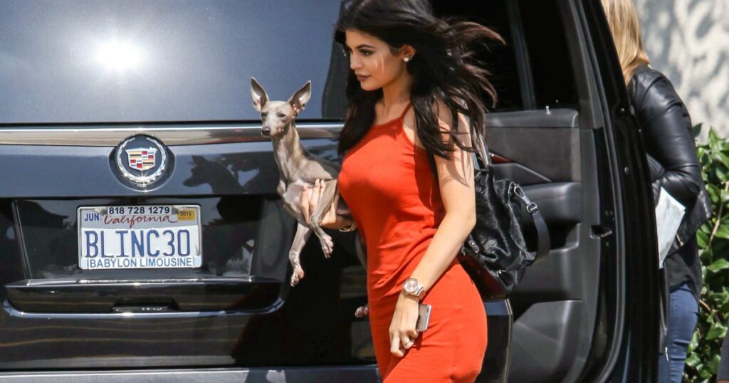 Kylie Jenner engagiert Hundemädchen für ihre 7 Hunde