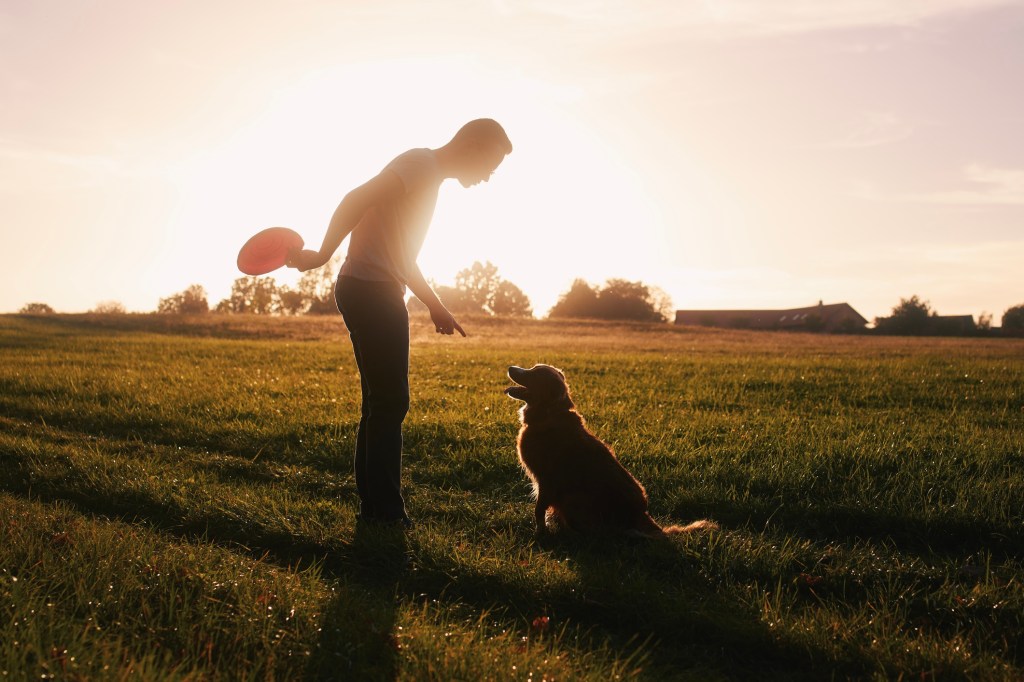 Hundetrainer bringt seinem Hund auf freiem Feld neue Tricks bei, so wie der Hund von einem berühmten Hundetrainer Kindern Freundlichkeit beigebracht hat.