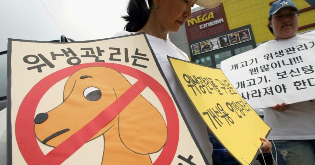 Südkorea verbietet den Verzehr von Hunden