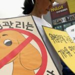 Südkorea verbietet den Verzehr von Hunden