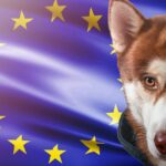 Bellender Hund unterbricht Sitzung des Europäischen Parlaments