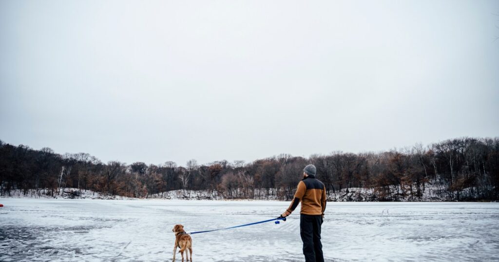 Hund hilft Polizei, Besitzer aus zugefrorenem Michigansee zu retten