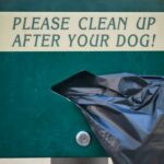 Hundekot zeigt an, dass unvorsichtige Hundebesitzer in LA schimpfen
