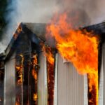 Vier Welpen wurden „pünktlich“ aus einem Hausbrand in Großbritannien gerettet