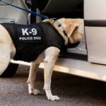 California K-9 findet Meth in Hundekeksschachteln