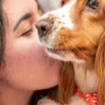 Cocker Spaniel fordert in TikTok-Video einen „Gute-Nacht-Kuss“ vor dem Schlafengehen