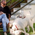 Der neue Hund des Schauspielers Kevin Costner wurde auf Instagram enthüllt