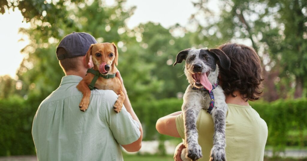 Die Philadelphia Puppy Bowl Party bringt Hunde und Einheimische zusammen