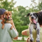 Die Philadelphia Puppy Bowl Party bringt Hunde und Einheimische zusammen