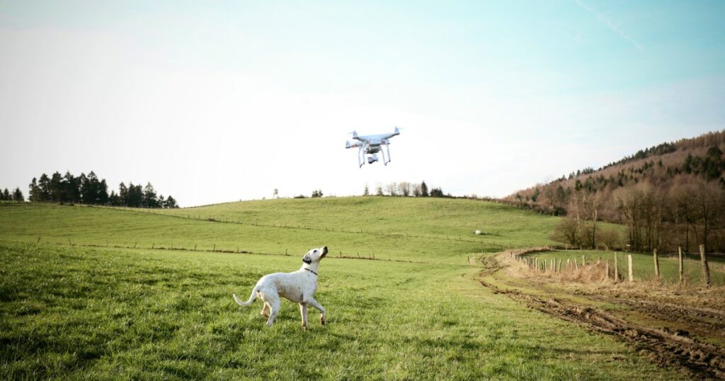 Drohne hilft bei der Suche nach vermisstem Diensthund