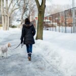 Experten verraten, dass die Temperatur für Hundespaziergänge zu kalt ist